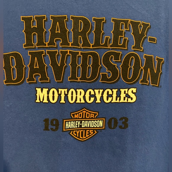 Haley-Davidson Motorcycles (1903) - Picture 4 of 6